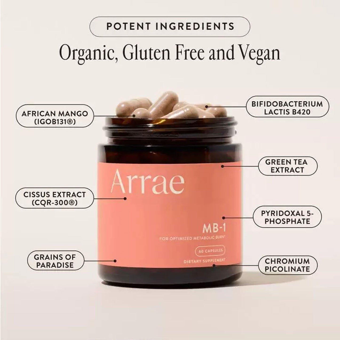 Arrae MB-1 Optimized Metabolic Burn Supplement All Natural - 60 Capsules *