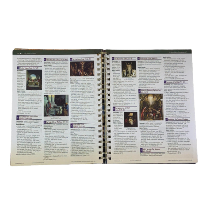 The Ultimate Bible Reference Book: 230 Pages of Visual Charts, Maps & Timelines on Everything
