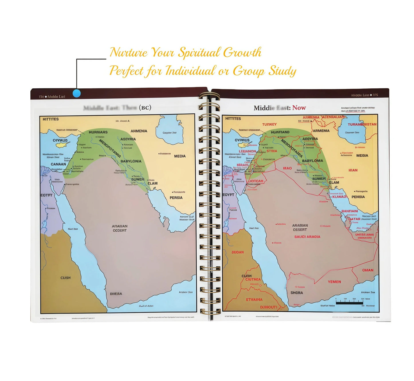 The Book of Bible Charts, Maps, and Time LinesThe ULTIMATE visual Bible resource is here! 230 pages of maps, timelines, and charts on everything: miracles, parables, apostles, feasts, and prophecies.