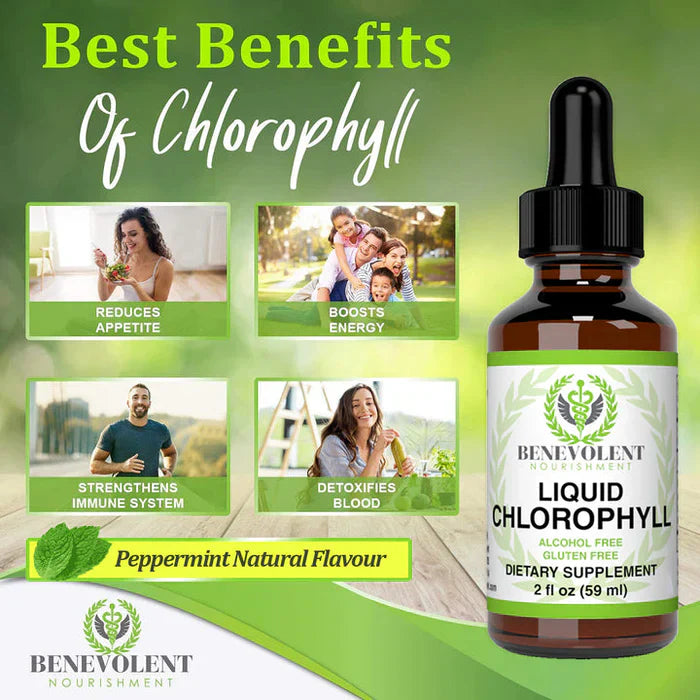 Benevolent Nourishment, Liquid Chlorophyll- Alcohol Free-2 fl oz