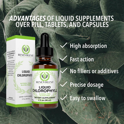 Benevolent Nourishment, Liquid Chlorophyll- Alcohol Free-2 fl oz