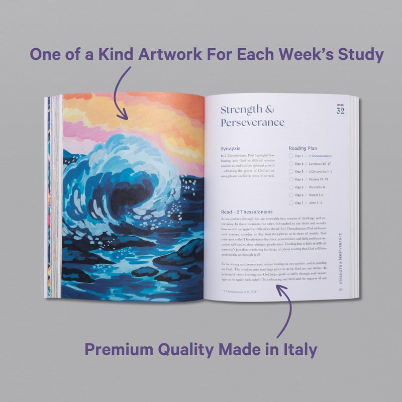 A Beautiful Year in the Bible: A 52-Week Devotional for Women (Softcover)