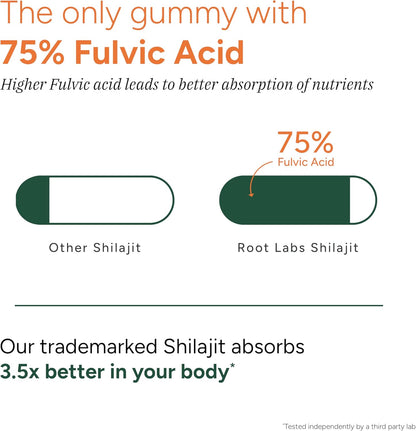 10-in-1 Shilajit Gummies (4000mg)|Tongkat Ali, Maca, 75% Fulvic Acid | Sugar-Free & Vegetarian2.