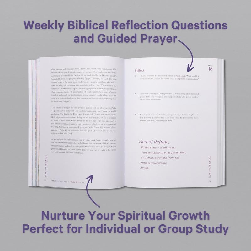 A Beautiful Year in the Bible: A 52-Week Devotional for Women (Softcover)