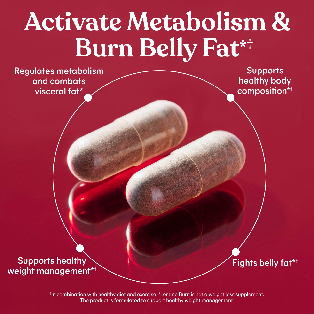 Lemme Burn - Metabolism, Belly Fat Burning + AMPK Activating Supplement for Men & Women w/Clinically Studied Actiponin Gynostemma, Green Tea Extract, Vitamins B6 & B12 - Gluten Free, 60 Count