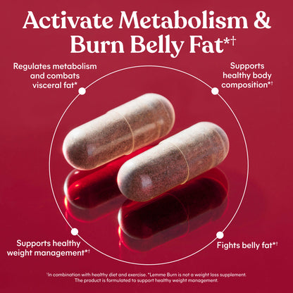Lemme Burn - Metabolism, Belly Fat Burning + AMPK Activating Supplement for Men & Women w/Clinically Studied Actiponin Gynostemma, Green Tea Extract, Vitamins B6 & B12 - Gluten Free, 60 Count