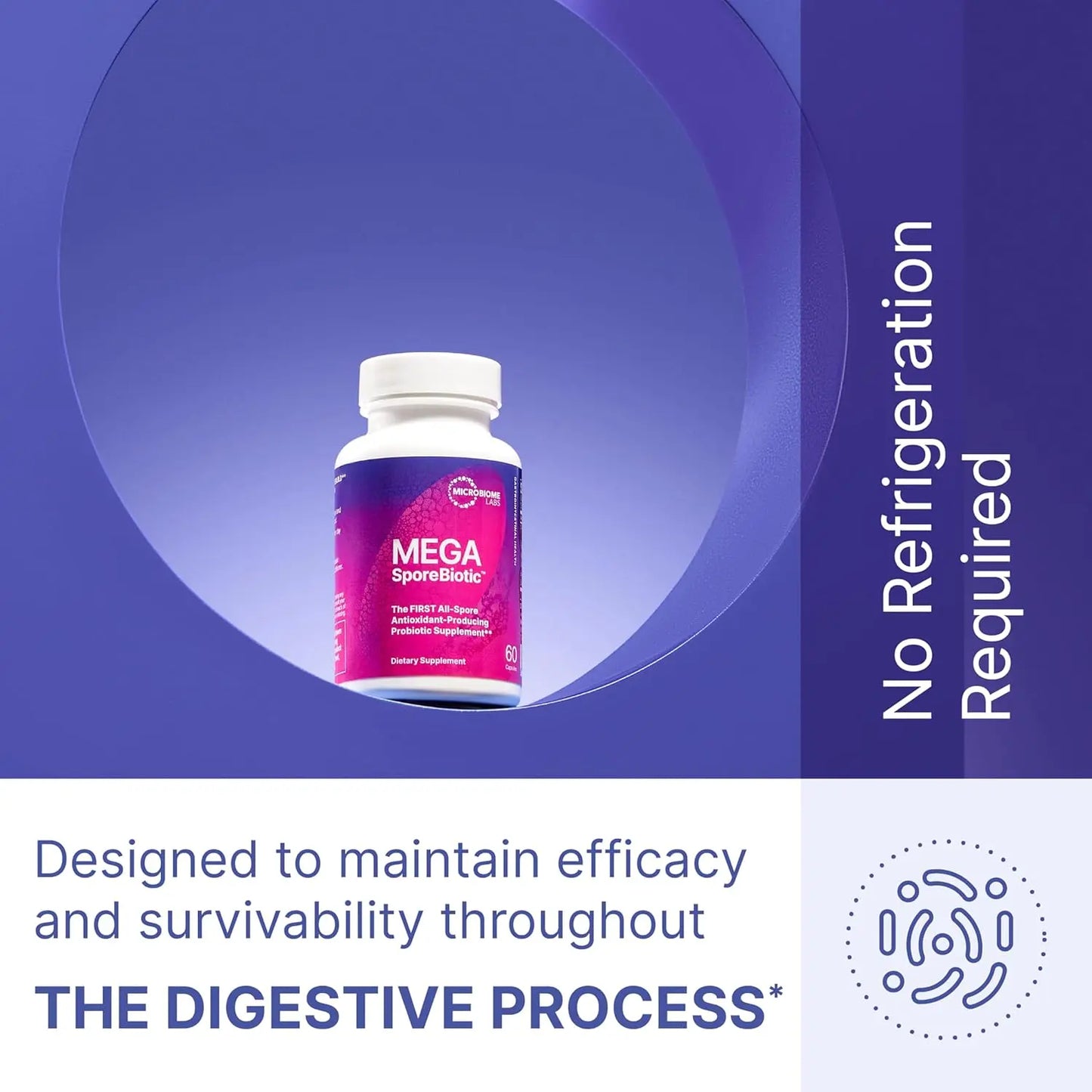 MegaSporeBiotic Probiotics for Women & Men - All-Spore Antioxidant-Producing Supplement - 60 Capsules Survives Stomach Acid