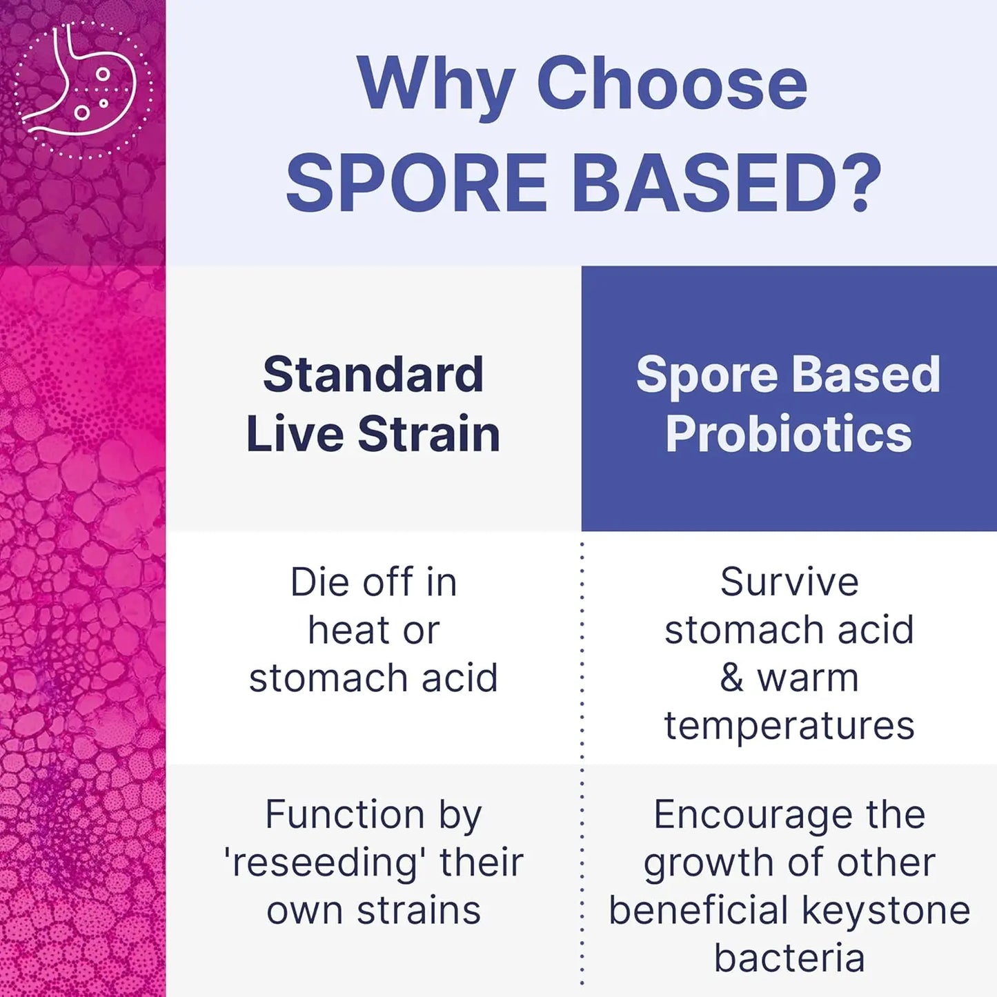 MegaSporeBiotic Probiotics for Women & Men - All-Spore Antioxidant-Producing Supplement - 60 Capsules Survives Stomach Acid
