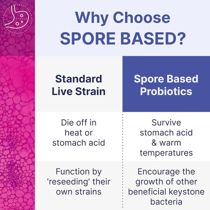 MegaSporeBiotic Probiotics for Women & Men - All-Spore Antioxidant-Producing Supplement - 60 Capsules Survives Stomach Acid