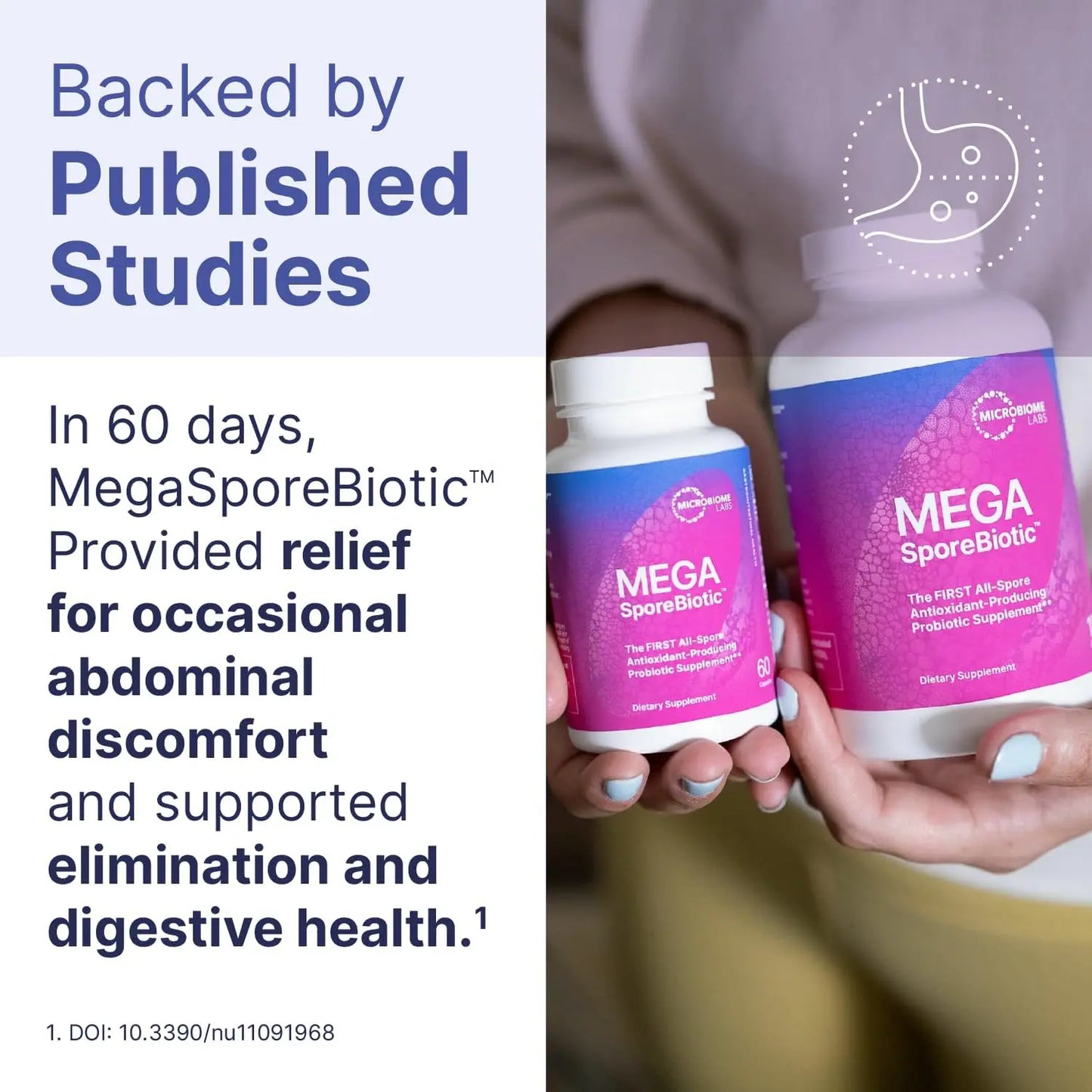 MegaSporeBiotic Probiotics for Women & Men - All-Spore Antioxidant-Producing Supplement - 60 Capsules Survives Stomach Acid