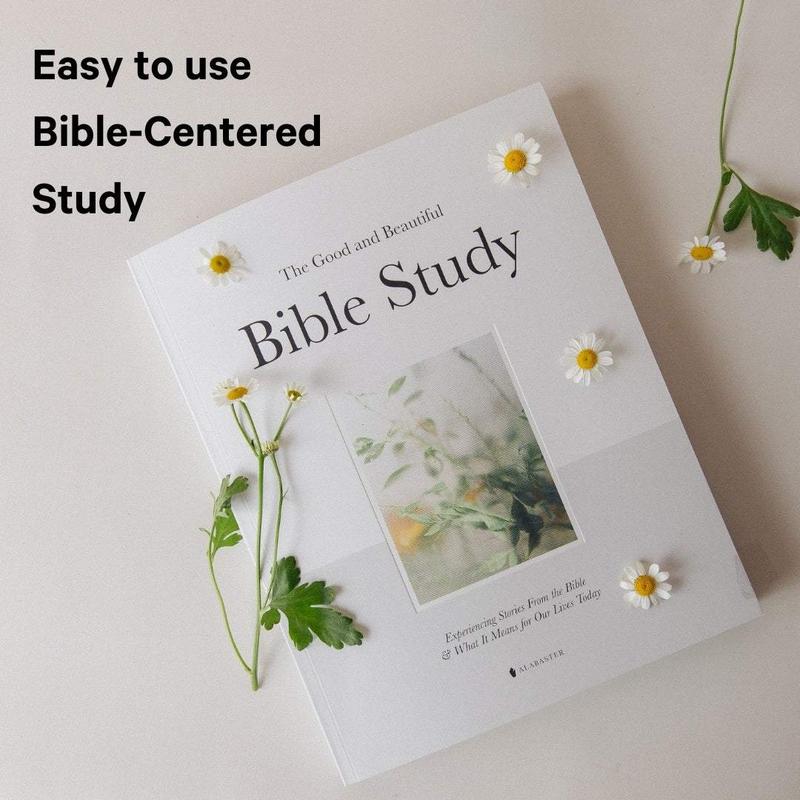 Bible Study Volume 1: A Guided Devotional with Daily Prayers, Reflections & Sacred Art