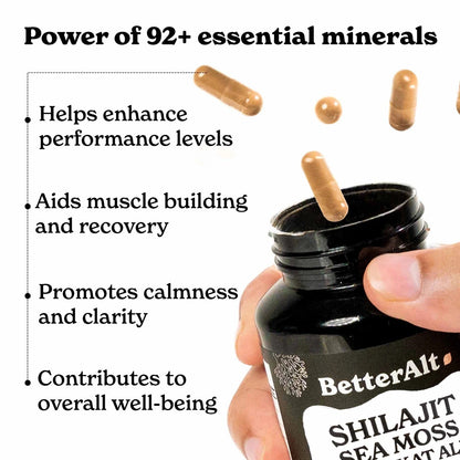 BetterAlt Sea Moss Capsules – High Potency Supplement for Strength & Endurance | 60 Capsules