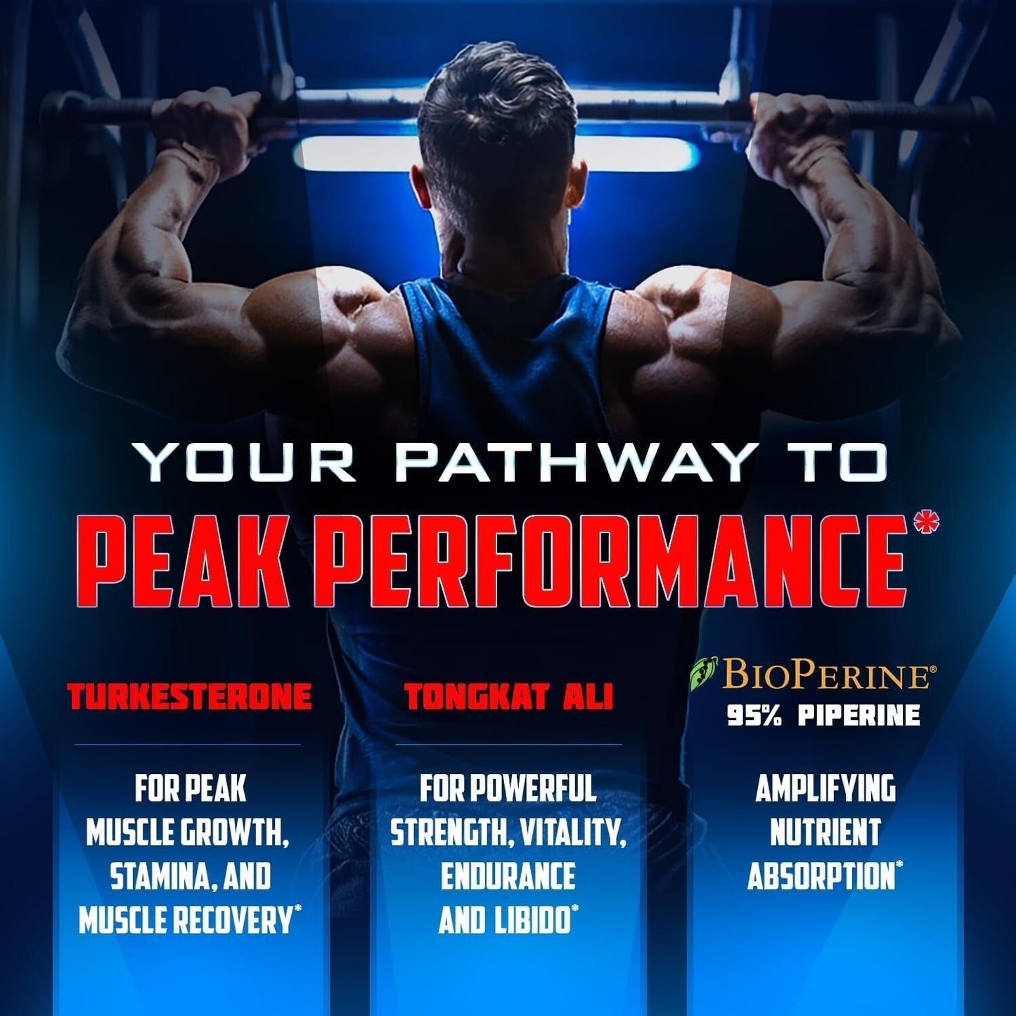 Turkesterone Supplement for Men 15,000mg [Max Potency]