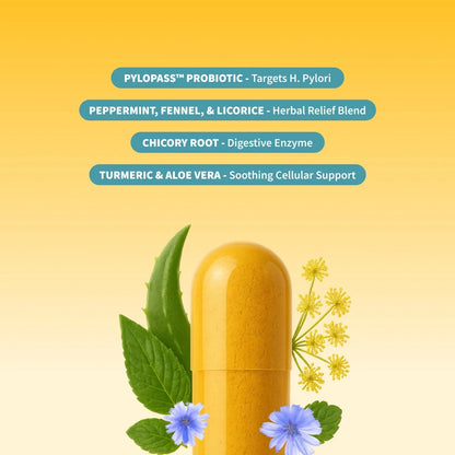 SNAP Gut Health Digestive Health Probiotics Enzymes Turmeric PYLOPASS H Pylori