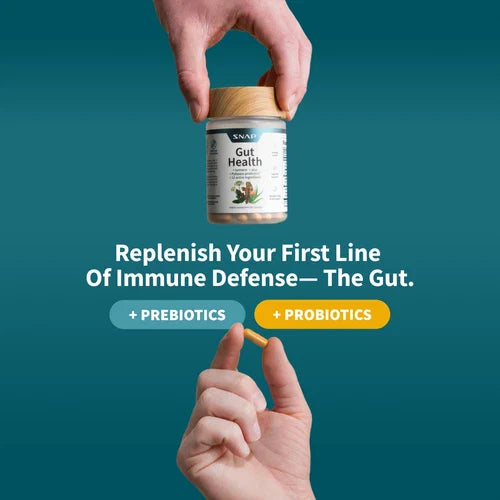 SNAP Gut Health Digestive Health Probiotics Enzymes Turmeric PYLOPASS H Pylori